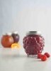 KIL-Słoik 0,4 l. Berry Fruit